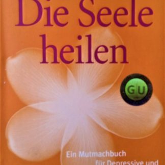 Die Seele heilen - Ein Mutmachbuch für Depressive und ihre Angehörigen von Sabine Wehner-Zott und Prof. Hubertus Himmerich