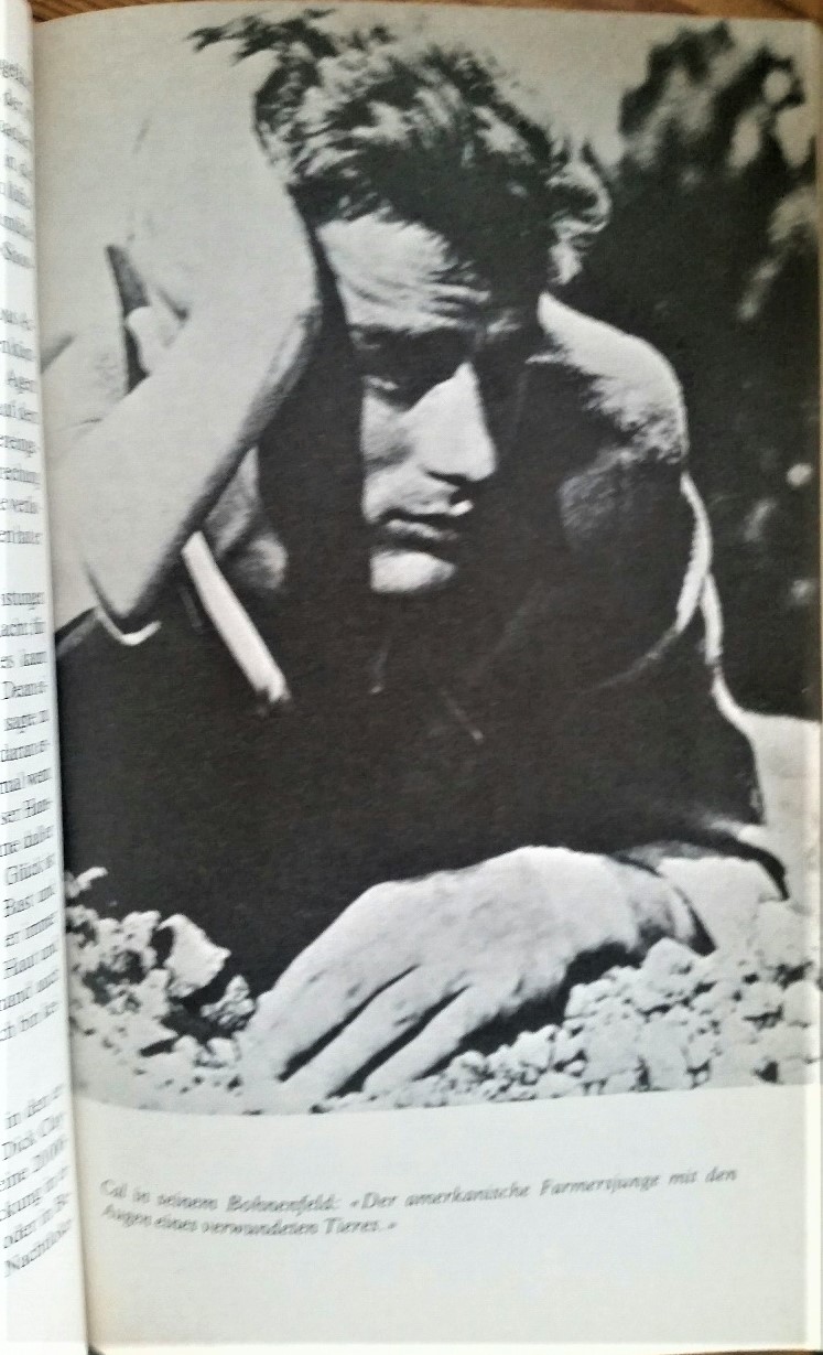 James Dean - Drei (Bild-) Biografien dreier Autoren (Kim Wolf, John Howlett, Horst Königstein) – Bild 4