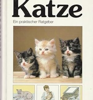 Meine Katze. Das praktische Handbuch für den Tierfreund von David Taylor