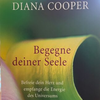 Begegne deiner Seele. Befreie dein Herz und empfange die Energie des Universums (A Time for Transformation)  von Diana Cooper
