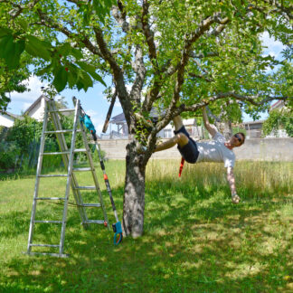 Workshop – 15.08.2026: Sommerschnitt an Obstbäumen