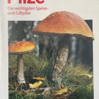 Pilze. Die wichtigsten Speise- und Giftpilze von Gerlinde Hausner